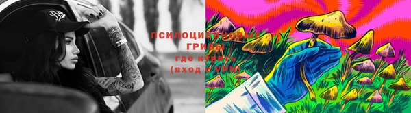 каннабис Лабытнанги