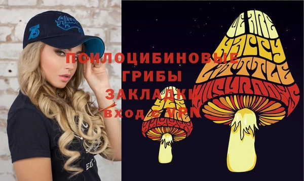 прущая мука Краснослободск